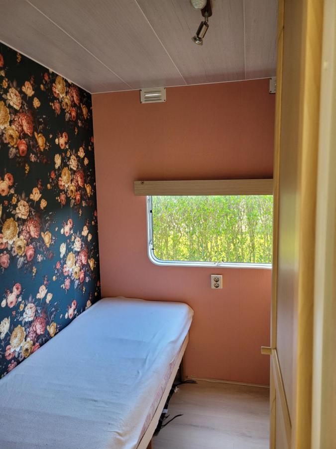 Camping De Blauwe Reiger Pieterzijl ภายนอก รูปภาพ